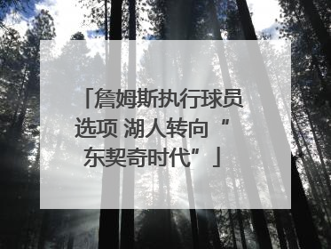 詹姆斯执行球员选项 湖人转向“东契奇时代”