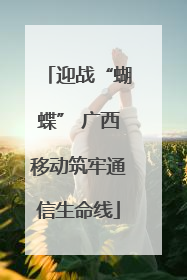 迎战“蝴蝶” 广西移动筑牢通信生命线
