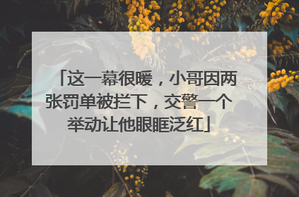这一幕很暖，小哥因两张罚单被拦下，交警一个举动让他眼眶泛红