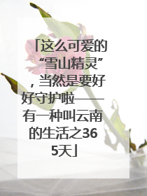 这么可爱的“雪山精灵”，当然是要好好守护啦——有一种叫云南的生活之365天