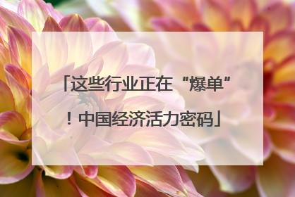 这些行业正在“爆单”！中国经济活力密码