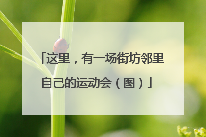 这里，有一场街坊邻里自己的运动会（图）