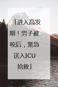进入高发期！男子被咬后，紧急送入ICU抢救