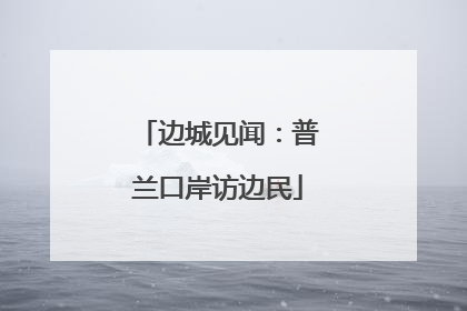 边城见闻：普兰口岸访边民