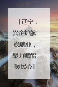 辽宁：兴企护航稳就业，聚力赋能暖民心