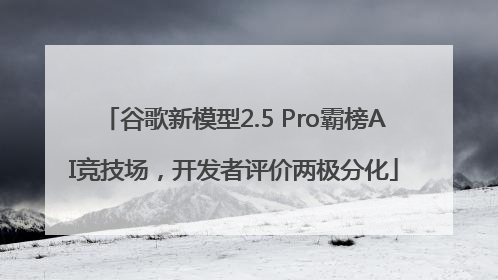 谷歌新模型2.5 Pro霸榜AI竞技场，开发者评价两极分化