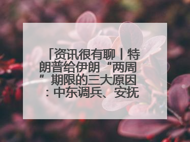资讯很有聊丨特朗普给伊朗“两周”期限的三大原因：中东调兵、安抚国内、个人习惯