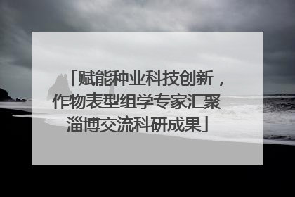赋能种业科技创新，作物表型组学专家汇聚淄博交流科研成果