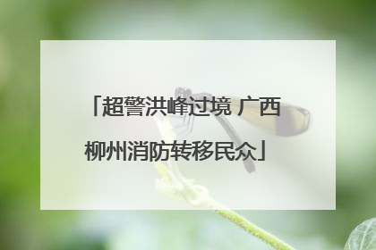 超警洪峰过境 广西柳州消防转移民众