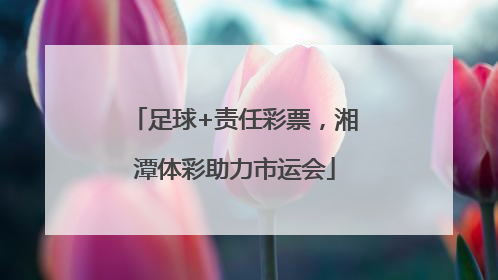 足球+责任彩票，湘潭体彩助力市运会