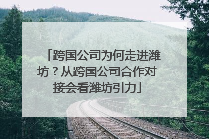 跨国公司为何走进潍坊？从跨国公司合作对接会看潍坊引力