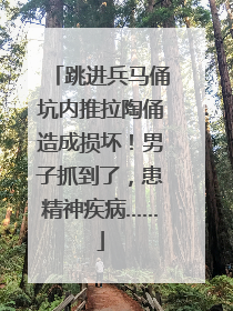 跳进兵马俑坑内推拉陶俑造成损坏！男子抓到了，患精神疾病……