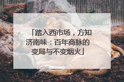 踏入西市场，方知济南味：百年商脉的变局与不变烟火