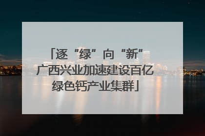 逐“绿”向“新” 广西兴业加速建设百亿绿色钙产业集群