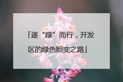 逐“绿”而行，开发区的绿色嬗变之路