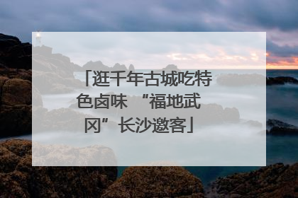 逛千年古城吃特色卤味 “福地武冈”长沙邀客