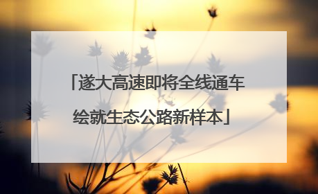 遂大高速即将全线通车 绘就生态公路新样本
