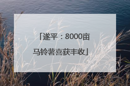 遂平：8000亩马铃薯喜获丰收