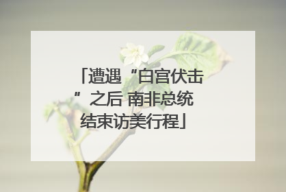 遭遇“白宫伏击”之后 南非总统结束访美行程