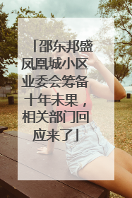 邵东邦盛凤凰城小区业委会筹备十年未果，相关部门回应来了