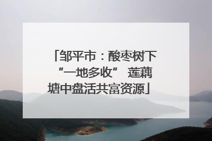 邹平市：酸枣树下“一地多收” 莲藕塘中盘活共富资源