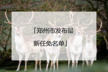 郑州市发布最新任免名单