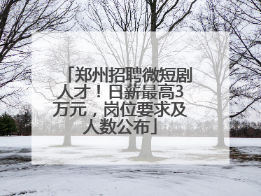 郑州招聘微短剧人才！日薪最高3万元，岗位要求及人数公布