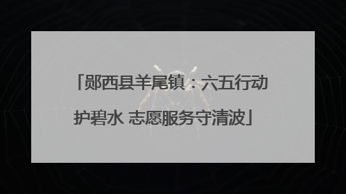 郧西县羊尾镇：六五行动护碧水 志愿服务守清波