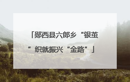 郧西县六郎乡“银茧”织就振兴“金路”