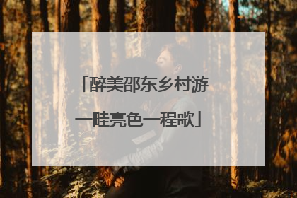 醉美邵东乡村游 一畦亮色一程歌
