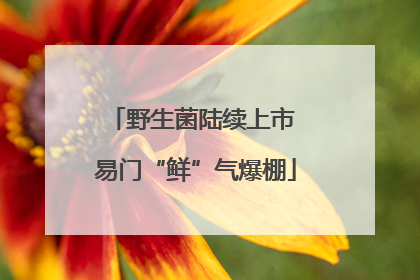 野生菌陆续上市 易门“鲜”气爆棚