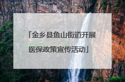 金乡县鱼山街道开展医保政策宣传活动