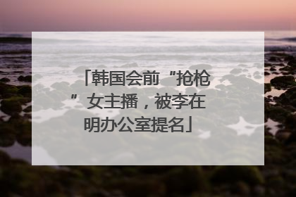 韩国会前“抢枪”女主播，被李在明办公室提名