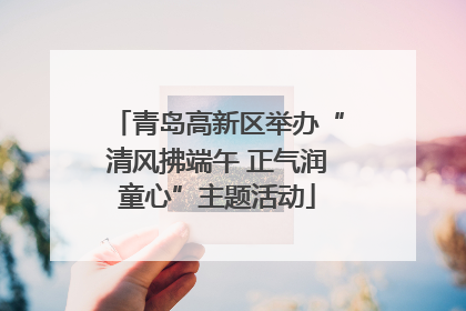 青岛高新区举办“清风拂端午 正气润童心”主题活动