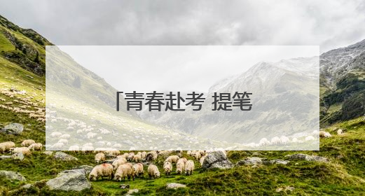 青春赴考 提笔逐梦——2025年高考首日见闻