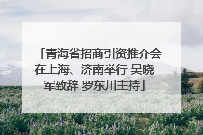 青海省招商引资推介会在上海、济南举行 吴晓军致辞 罗东川主持