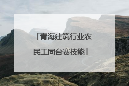 青海建筑行业农民工同台赛技能