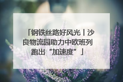 钢铁丝路好风光丨沙良物流园助力中欧班列跑出“加速度”