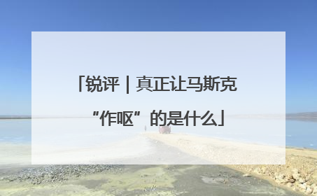 锐评｜真正让马斯克“作呕”的是什么