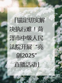 锚定切实解决执行难！菏泽市中级人民法院开展“亮剑2025”直播活动