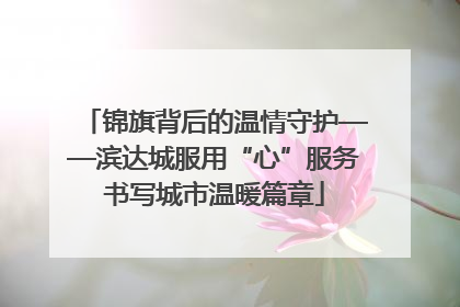 锦旗背后的温情守护——滨达城服用“心”服务书写城市温暖篇章