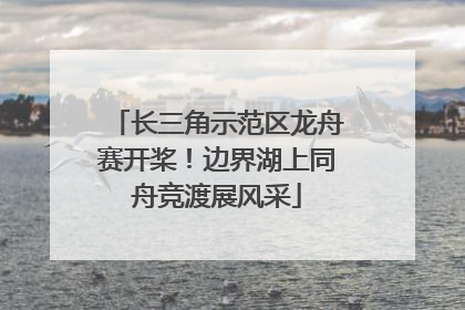 长三角示范区龙舟赛开桨！边界湖上同舟竞渡展风采