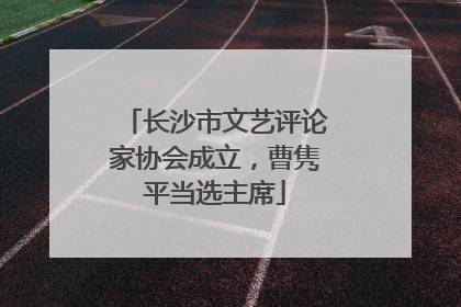 长沙市文艺评论家协会成立，曹隽平当选主席