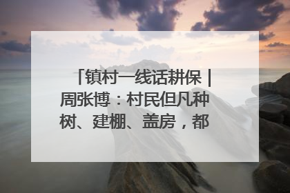镇村一线话耕保｜周张博：村民但凡种树、建棚、盖房，都要向街道报批