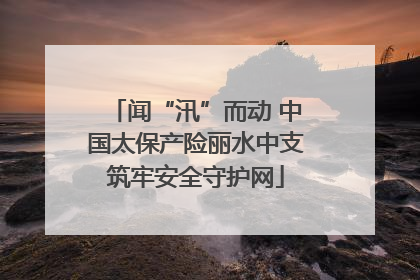 闻“汛”而动 中国太保产险丽水中支筑牢安全守护网