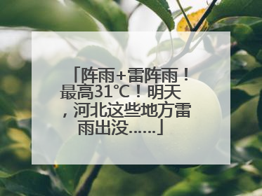 阵雨+雷阵雨！最高31℃！明天，河北这些地方雷雨出没……