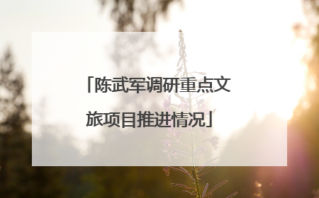 陈武军调研重点文旅项目推进情况