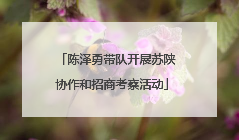陈泽勇带队开展苏陕协作和招商考察活动