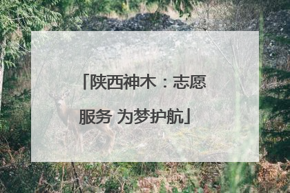 陕西神木：志愿服务 为梦护航