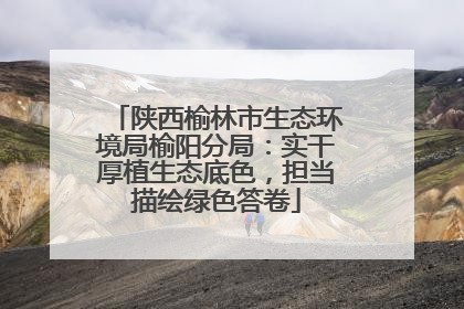 陕西榆林市生态环境局榆阳分局：实干厚植生态底色，担当描绘绿色答卷